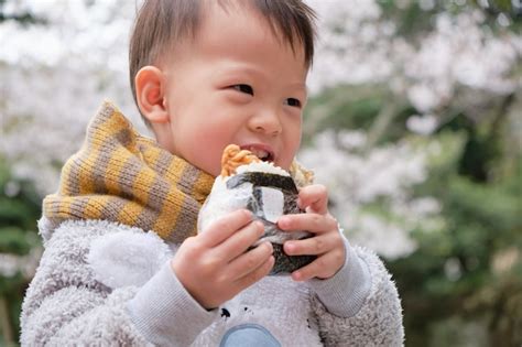 鳥取観光 日帰り 砂丘の上でおにぎりを食べる夢を見る