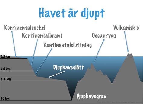  Daggmask! En underskönad hjälte i havets djup och en mästare på regenerering