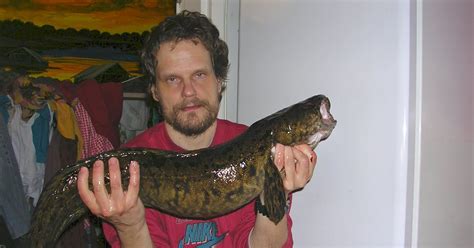  Eelpout! Den lilla fisk som är lika fascinerande som den är ful