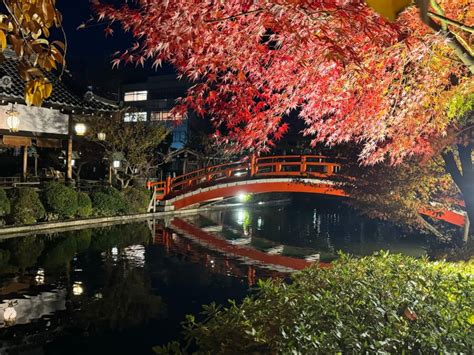 京都 半日観光 おすすめ ～時間の流れを忘れる古都の魅力～