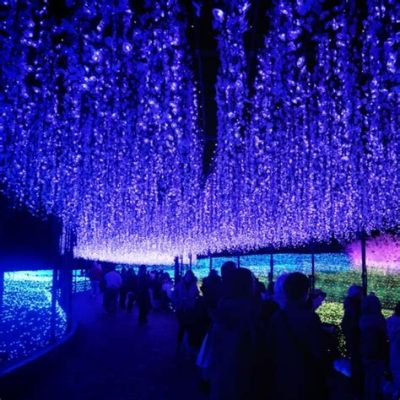 栃木県 イルミネーション ～光の芸術と地域の魅力を探る～